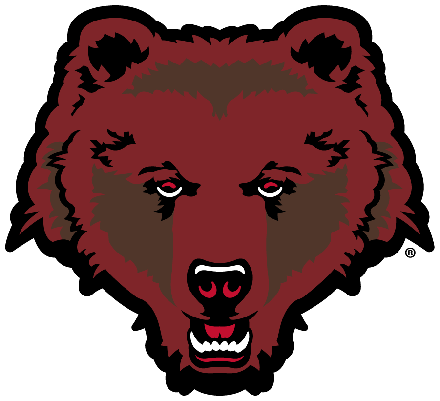 Brown Bears 2018-Pres Alternate Logo iron on transfers for clothing